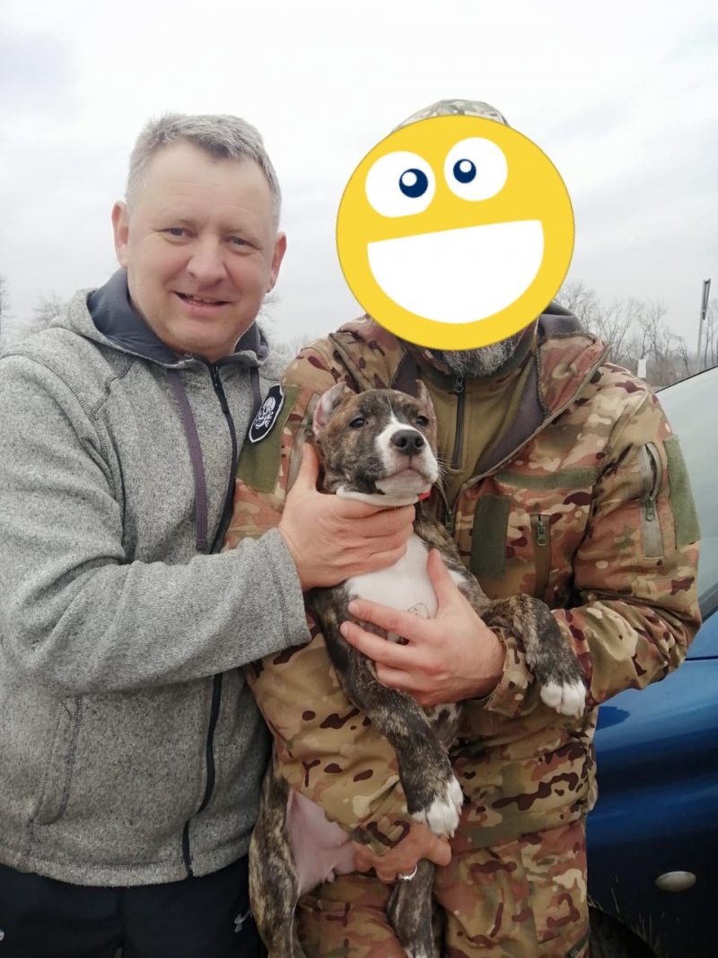 31.01.2025 Продовжуємо робити добрі справи. Знову в дорозі! Громадський дипломат ГО &laquo;Міжнародної Дипломатичної Місії &laquo;ОБСЕ&raquo; Приходько Григорій Дмитрович з волонтерами привіз допомогу нашим захисникам на Донбас.